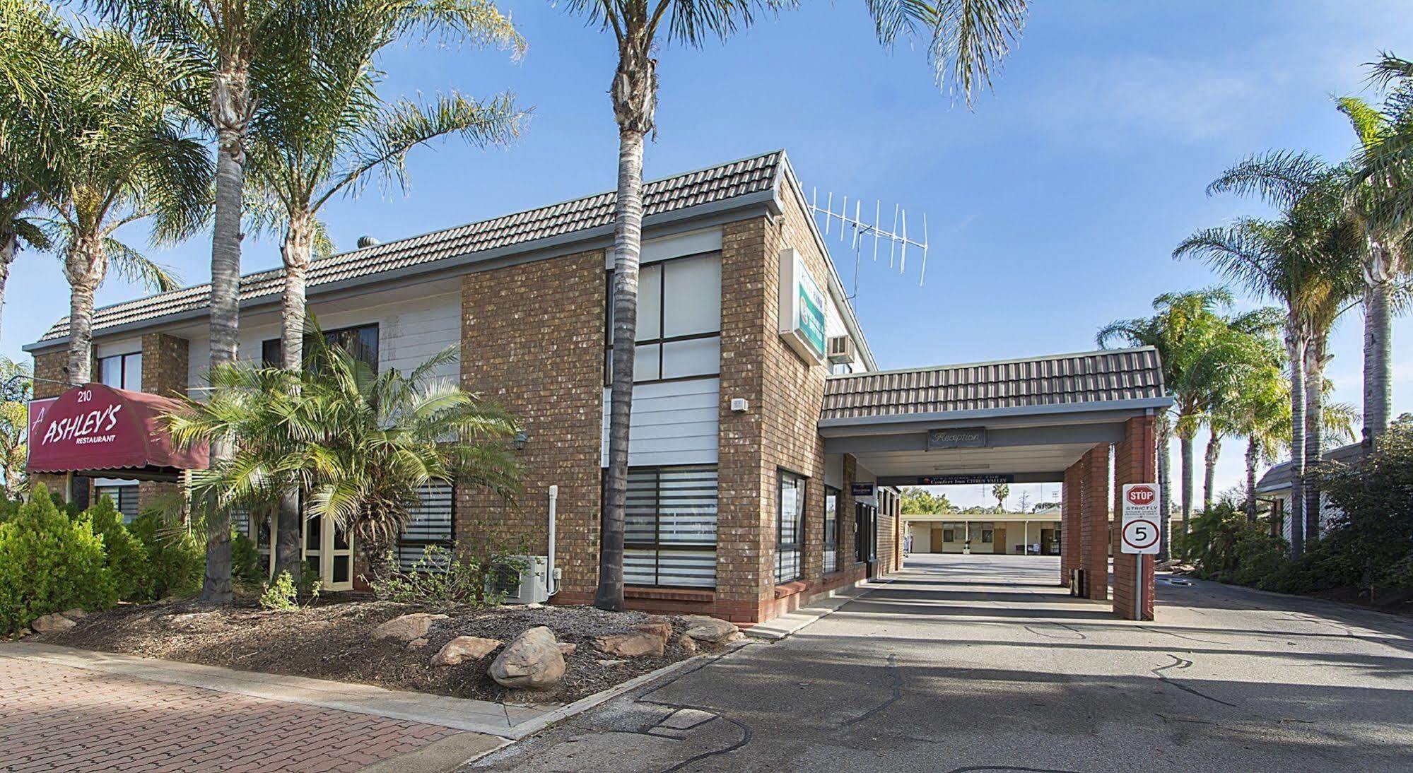 Citrus Valley Motel Renmark Esterno foto