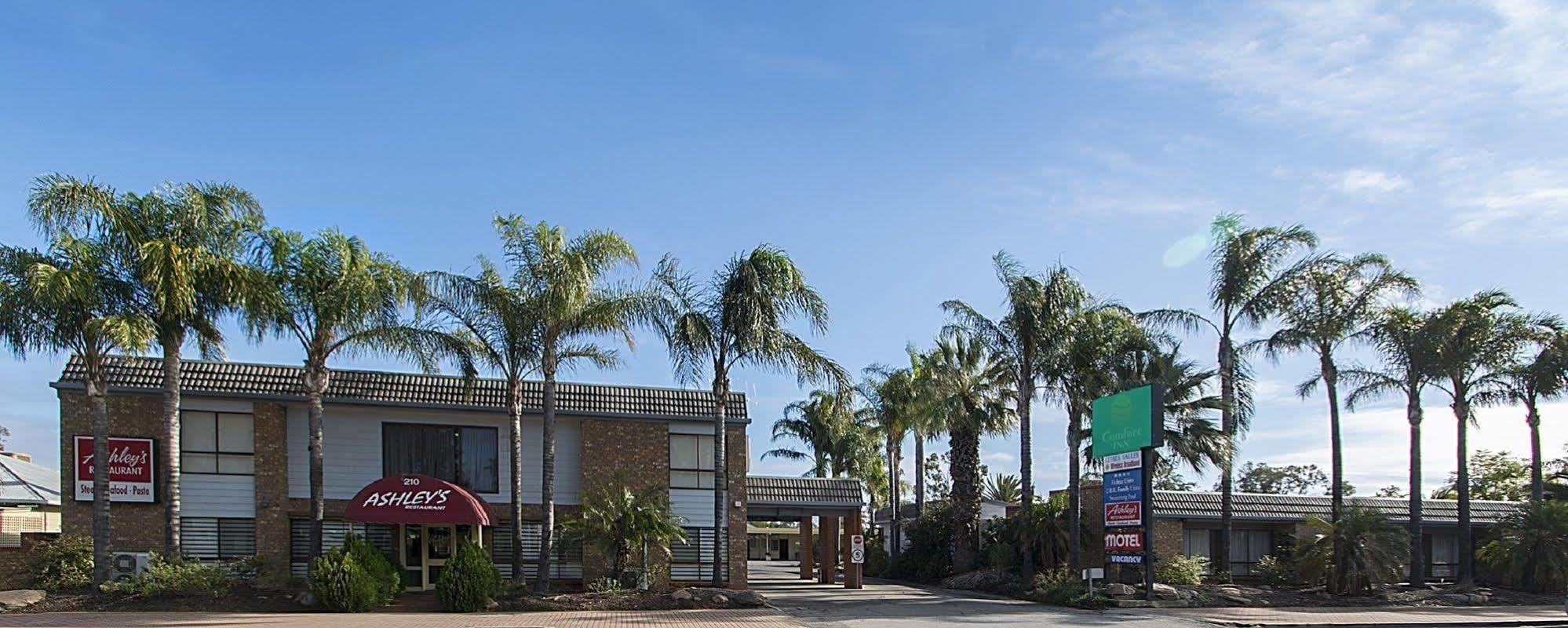 Citrus Valley Motel Renmark Esterno foto